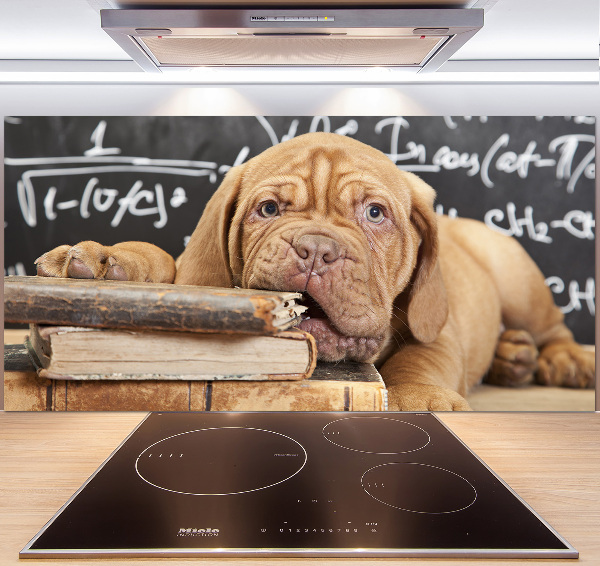 Glazen achterwand keuken De hond bijt in het boek.