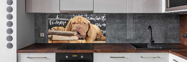 Glazen achterwand keuken De hond bijt in het boek.