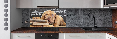 Glazen achterwand keuken De hond bijt in het boek.