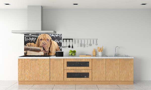 Glazen achterwand keuken De hond bijt in het boek.