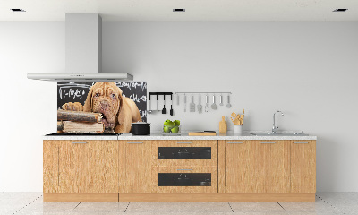 Glazen achterwand keuken De hond bijt in het boek.