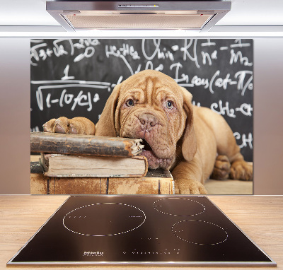 Glazen achterwand keuken De hond bijt in het boek.