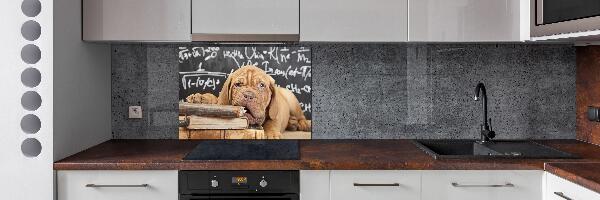 Glazen achterwand keuken De hond bijt in het boek.