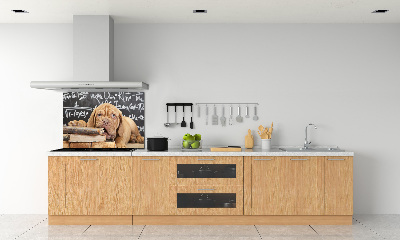 Glazen achterwand keuken De hond bijt in het boek.