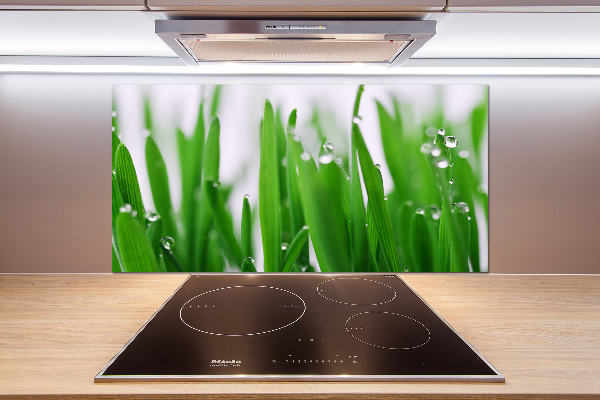 Achterwand keuken grassprieten