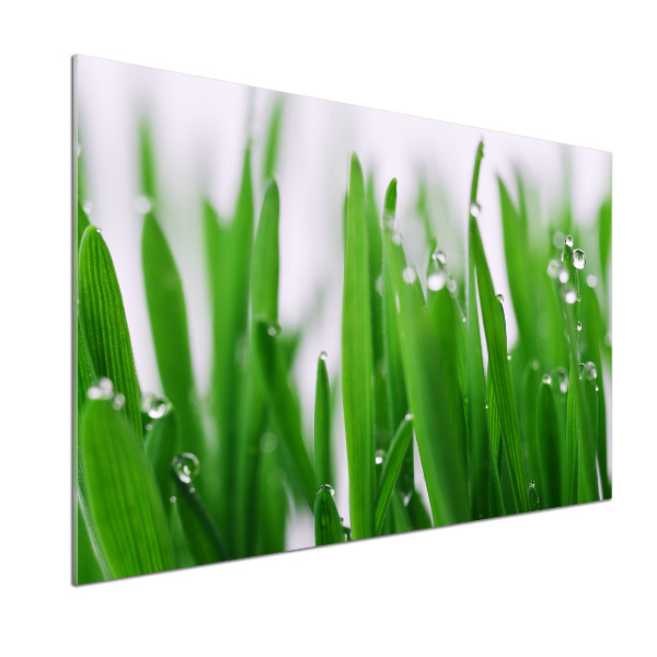 Achterwand keuken grassprieten
