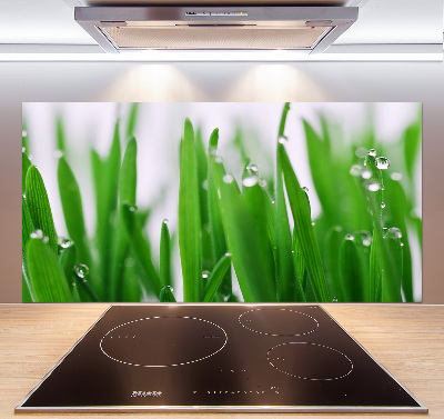 Achterwand keuken grassprieten