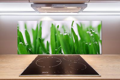 Achterwand keuken grassprieten