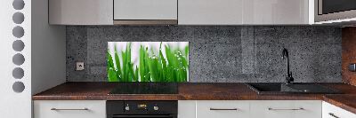 Achterwand keuken grassprieten