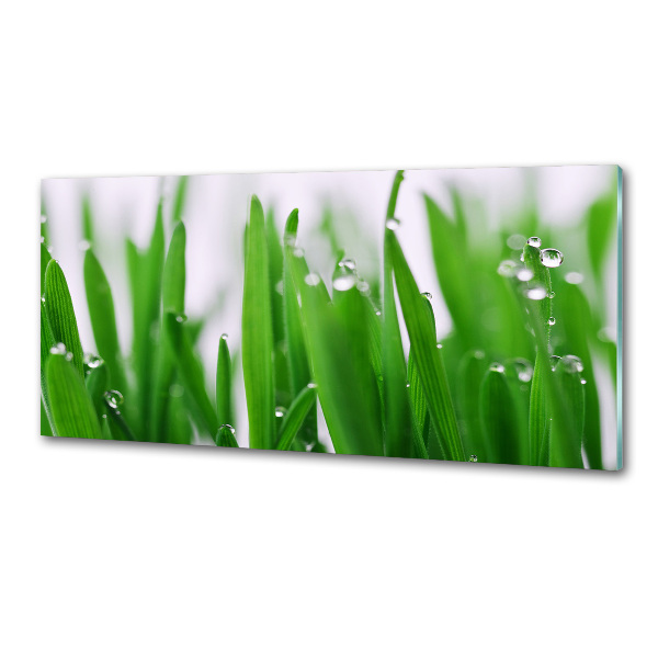 Achterwand keuken grassprieten