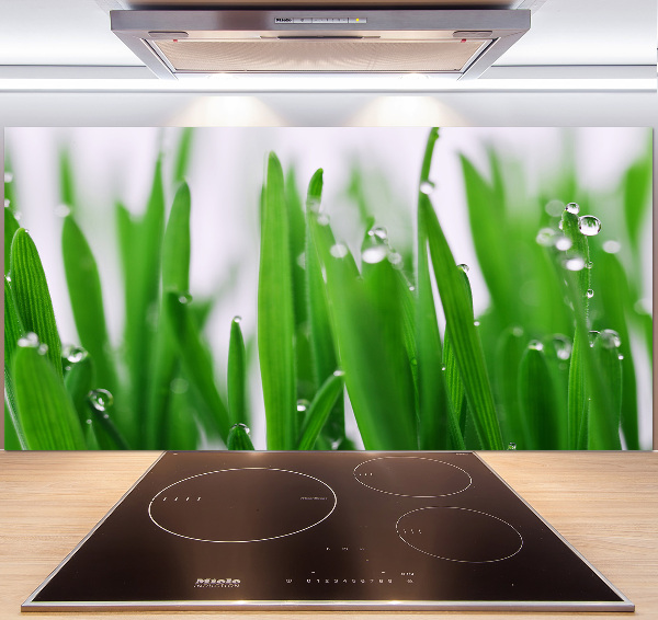 Achterwand keuken grassprieten