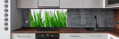 Achterwand keuken grassprieten