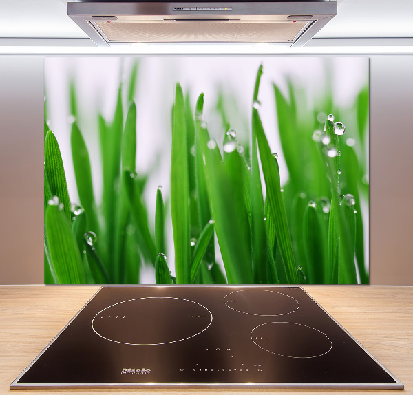 Achterwand keuken grassprieten