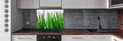 Achterwand keuken grassprieten