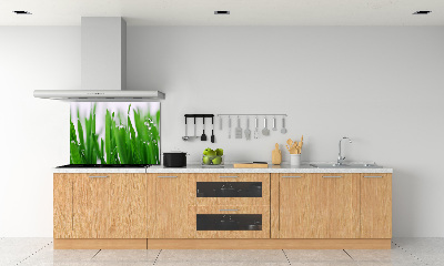 Achterwand keuken grassprieten