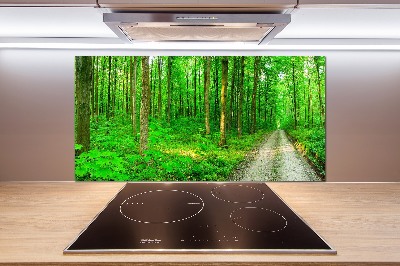 Spatscherm keuken Bomen in het bos