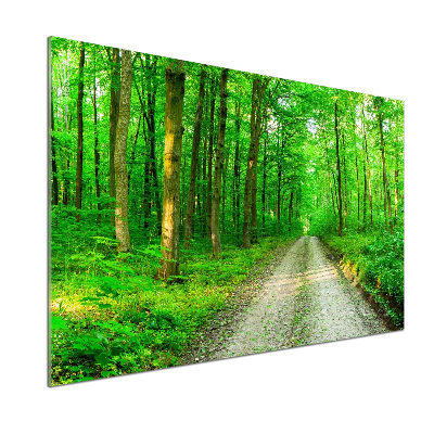 Spatscherm keuken Bomen in het bos