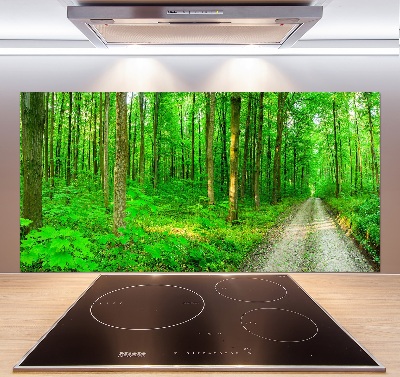 Spatscherm keuken Bomen in het bos