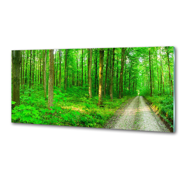 Spatscherm keuken Bomen in het bos