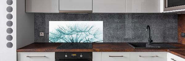 Achterwand keuken Paardenbloemzaden
