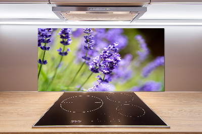Spatscherm keuken Lavendel