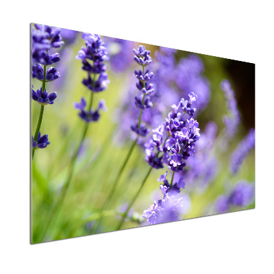 Spatscherm keuken Lavendel