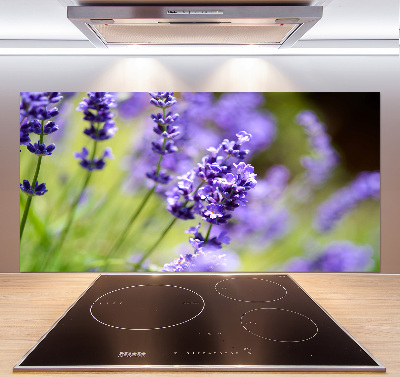 Spatscherm keuken Lavendel