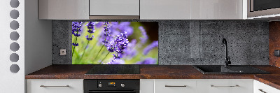 Spatscherm keuken Lavendel