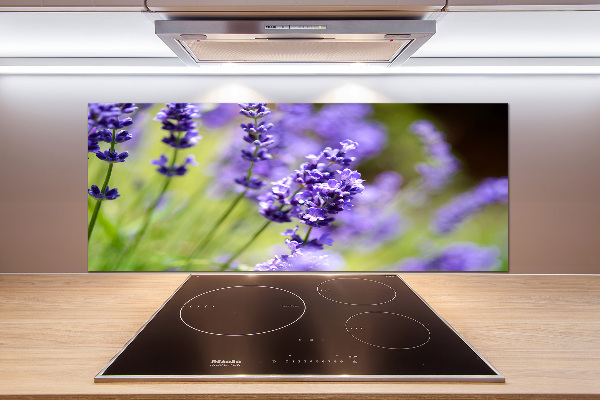 Panel szklany do kuchni Lawenda