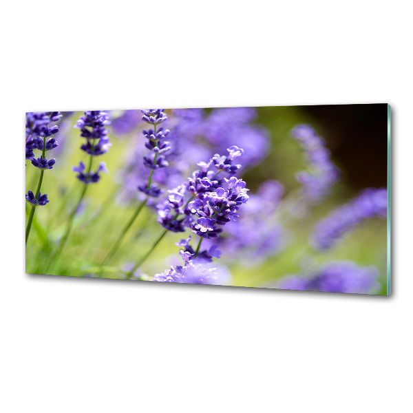 Spatscherm keuken Lavendel