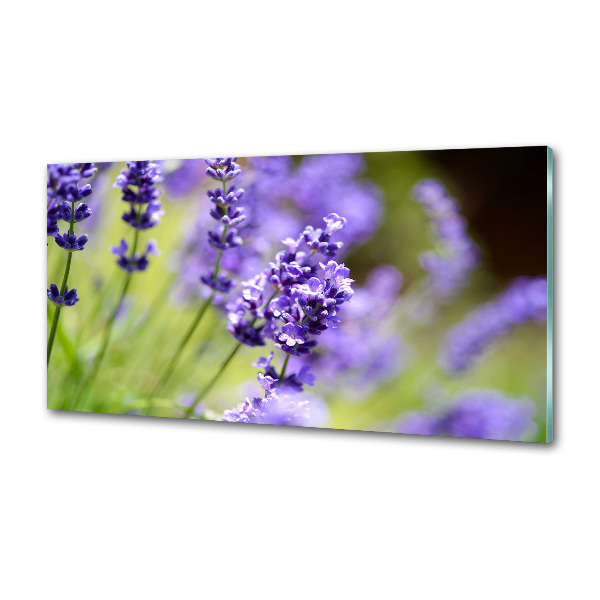 Spatscherm keuken Lavendel