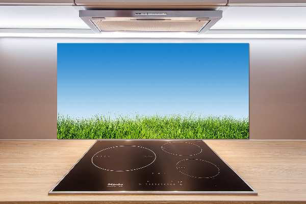 Spatplaat keuken Gras