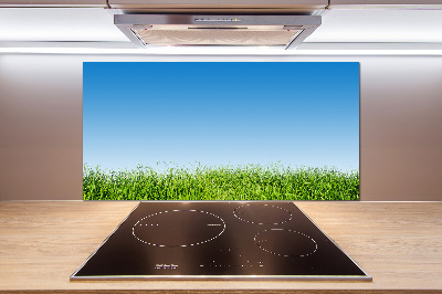 Spatplaat keuken Gras
