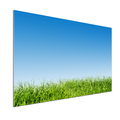 Panel szklany do kuchni Trawa