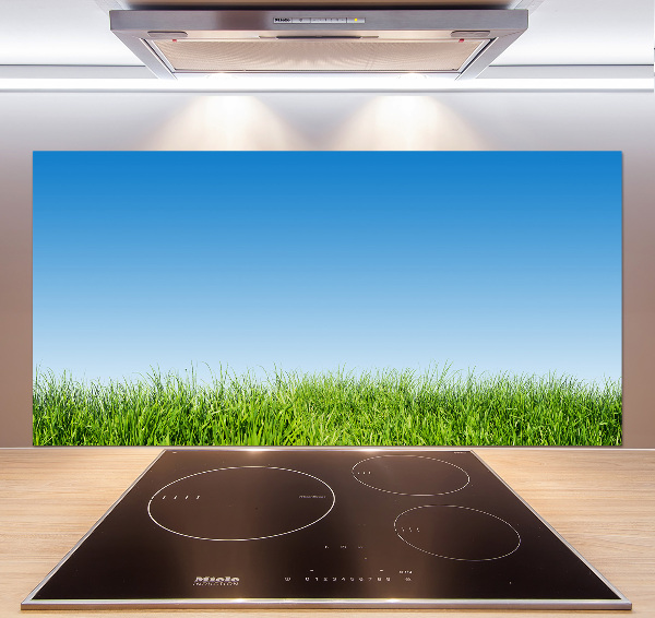 Spatplaat keuken Gras