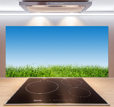 Spatplaat keuken Gras