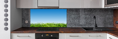 Spatplaat keuken Gras