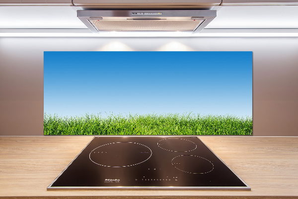 Spatplaat keuken Gras