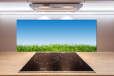 Spatplaat keuken Gras