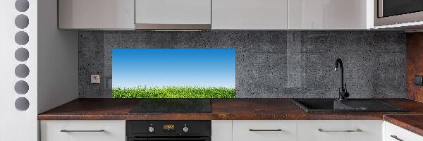 Spatplaat keuken Gras