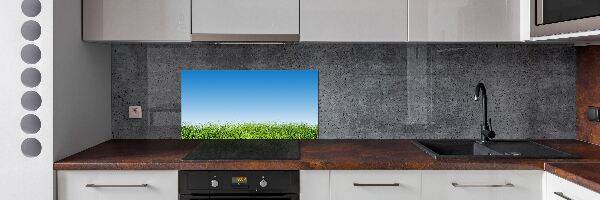 Spatplaat keuken Gras