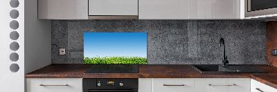 Spatplaat keuken Gras