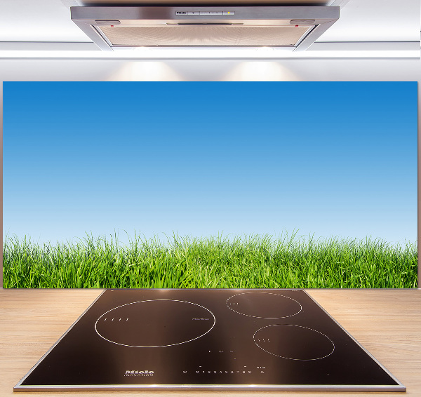 Spatplaat keuken Gras