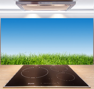 Spatplaat keuken Gras