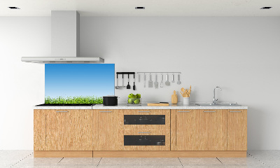 Spatplaat keuken Gras