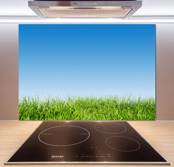 Spatplaat keuken Gras