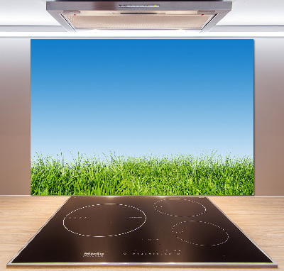 Spatplaat keuken Gras