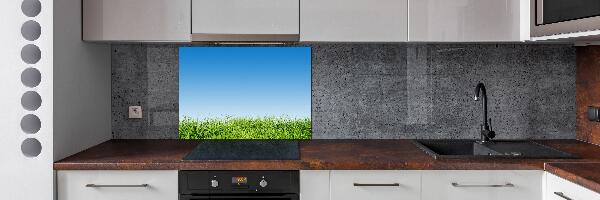 Spatplaat keuken Gras