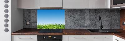 Spatplaat keuken Gras