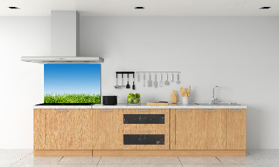 Spatplaat keuken Gras